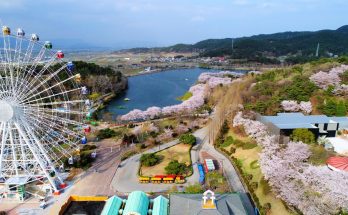 Exploring the Premium Features of Gwangju OP Services