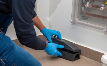Extermination Techniques for a Pest-Free Home