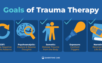 Trauma Therapy for Adults: Effective Approaches to Healing and Recovery